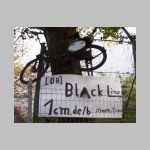 black.jpg